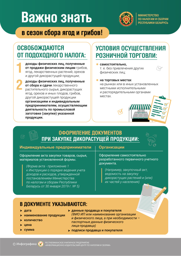 грибы.jpg
